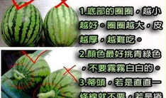 吃瓜爆料配乐叫什么名字,吃瓜爆料热潮来袭！揭秘热门配乐背后的故事