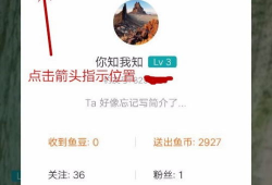 91钓鱼直播怎么看,揭秘钓鱼爱好者的线上聚集地