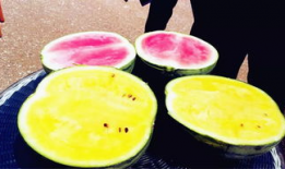 小三月吃瓜爆料,娱乐圈最新猛料大揭秘