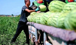 莱芜区吃瓜最新事件爆料,揭秘背后惊人真相